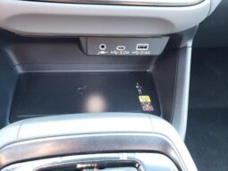 
 Subaru Crosstrek full									