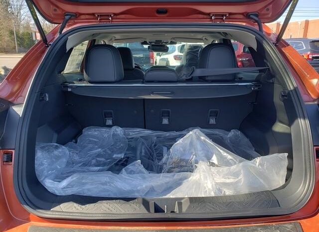 
 Subaru Crosstrek full									