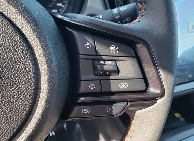 
 Subaru Crosstrek full									