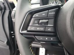 
 Subaru Crosstrek full									