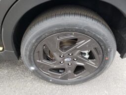 
 Subaru Crosstrek full									