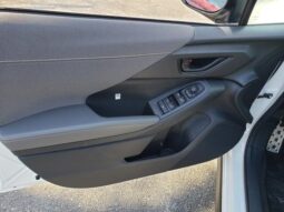 
 Subaru Crosstrek full									