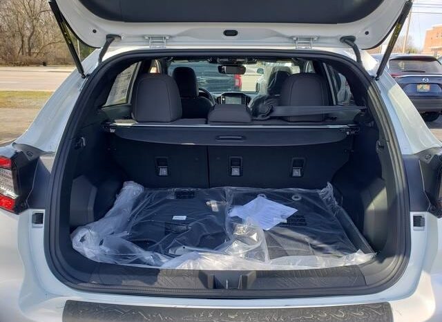 
 Subaru Crosstrek full									