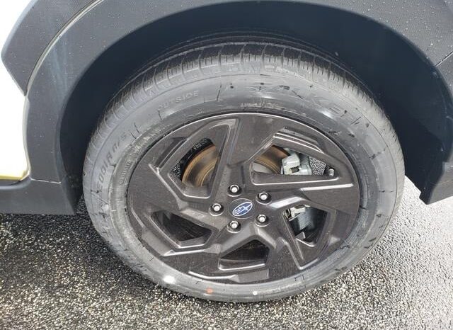 
 Subaru Crosstrek full									