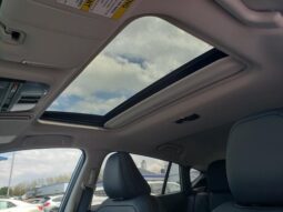 
 Subaru Crosstrek full									