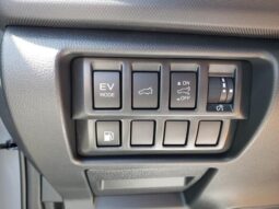 
 Subaru Forester Hybrid full									