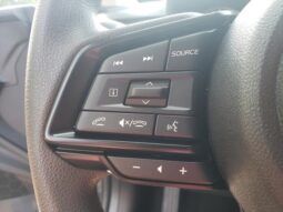 
 Subaru Crosstrek full									