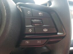 
 Subaru Crosstrek full									