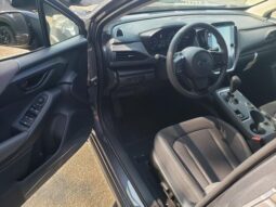 
 Subaru Crosstrek full									