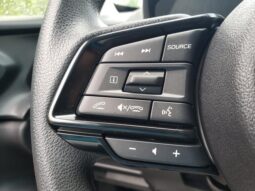 
 Subaru Crosstrek full									