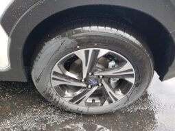 
 Subaru Crosstrek full									