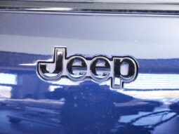 
 Jeep Grand Cherokee L full									