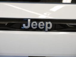 
 Jeep Grand Cherokee 4xe full									
