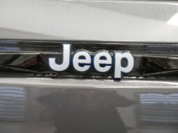 Jeep Grand Cherokee 4xe full