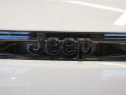 
 Jeep Grand Cherokee full									