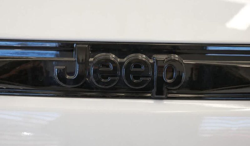 
 Jeep Grand Cherokee full									