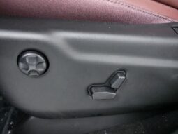 
 Dodge Durango full									