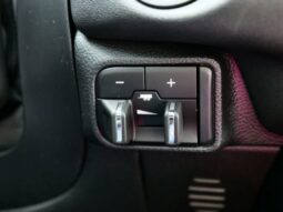 
 Dodge Durango full									