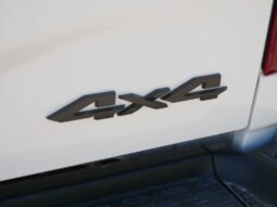 
 RAM 3500 full									