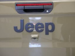 
 Jeep Gladiator full									