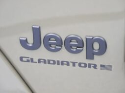 
 Jeep Gladiator full									