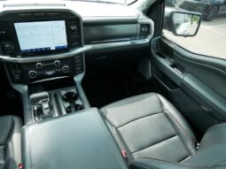 
 Ford F-150 full									
