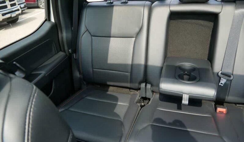 
 Ford F-150 full									