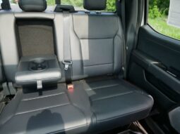 
 Ford F-150 full									