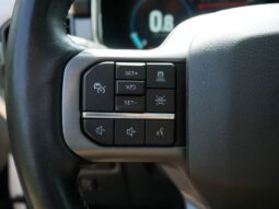 
 Ford F-150 full									