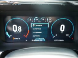 
 Ford F-150 full									