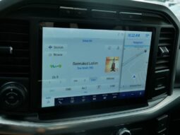 
 Ford F-150 full									