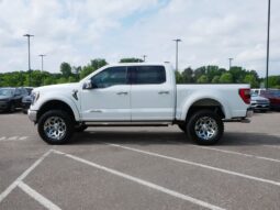 
 Ford F-150 full									