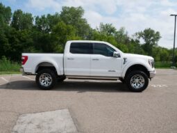
 Ford F-150 full									