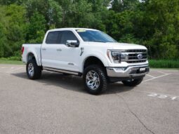 
 Ford F-150 full									