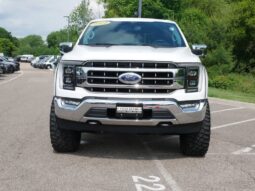 
 Ford F-150 full									