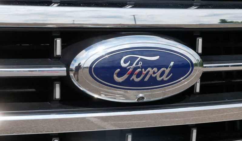 
 Ford F-150 full									