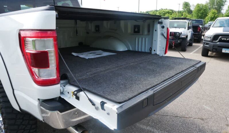 
 Ford F-150 full									