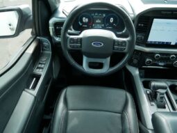 
 Ford F-150 full									