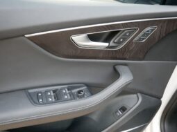 
 Audi Q8 full									