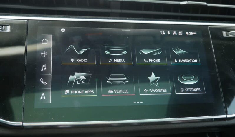 
 Audi Q8 full									
