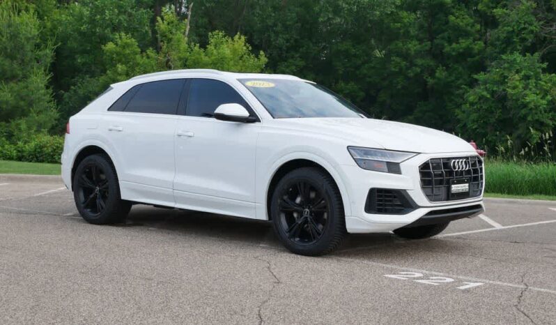 
 Audi Q8 full									
