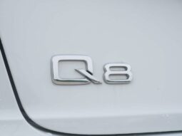 
 Audi Q8 full									