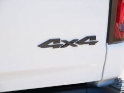 
 RAM 1500 full									