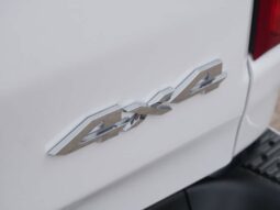 
 RAM 1500 full									