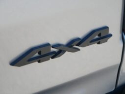 
 RAM 1500 full									