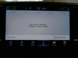 
 Chrysler Pacifica full									
