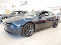 
 Dodge Charger Daytona full									