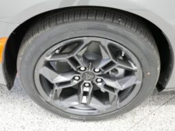 
 Dodge Charger Daytona full									