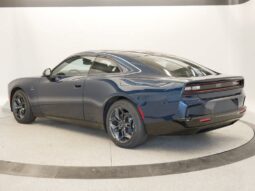
 Dodge Charger Daytona full									