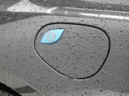 
 Chrysler Pacifica full									